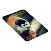 Magnet Flexible Singe écureuil dans l'arbre (Côté Droit)