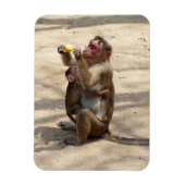 Magnet Flexible Singe - Mères Petit-Déjeuner (Vertical)