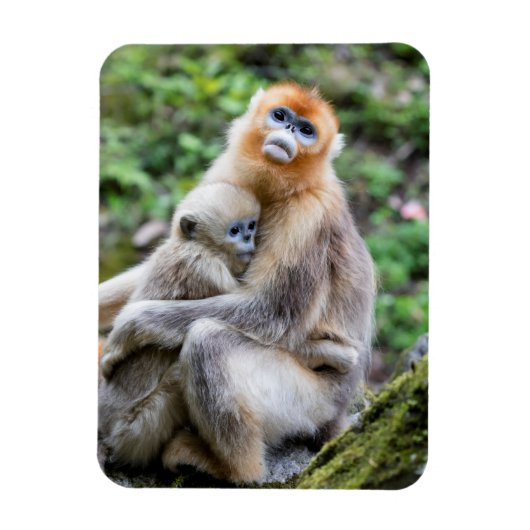Magnet Flexible Singe nez retroussé doré avec bébé (Vertical)