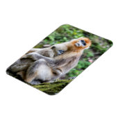 Magnet Flexible Singe nez retroussé doré avec bébé (Côté Gauche)