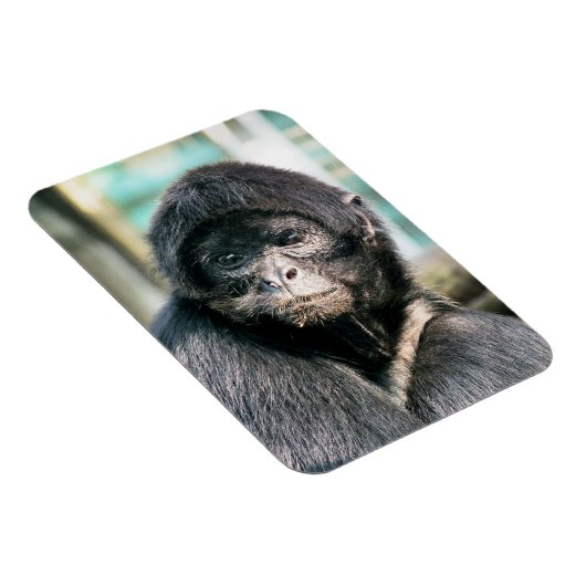 MAGNET FLEXIBLE SINGES (Côté Droit)