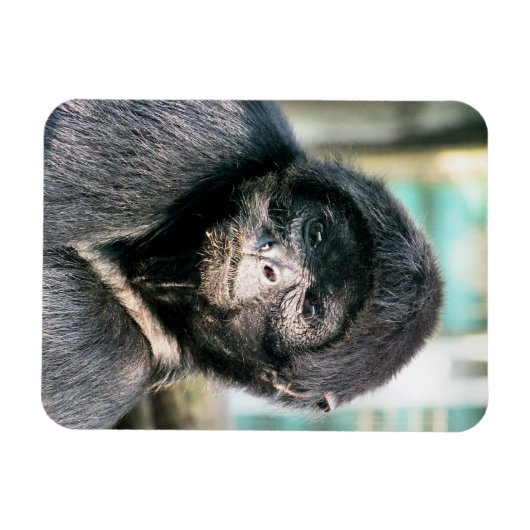 MAGNET FLEXIBLE SINGES (Horizontal)