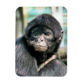 MAGNET FLEXIBLE SINGES (Vertical)