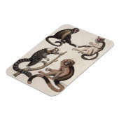 Magnet Flexible Singes (litho couleur) (Côté Gauche)