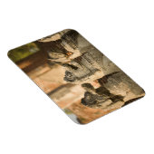 Magnet Flexible Singhat Wat Thammikarat (Côté Droit)