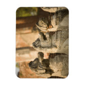 Magnet Flexible Singhat Wat Thammikarat (Vertical)