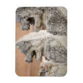 Magnet Flexible Singhat Wat Thammikarat 2 (Vertical)
