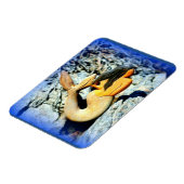 Magnet Flexible sirène à poil noir bleu (Côté Gauche)