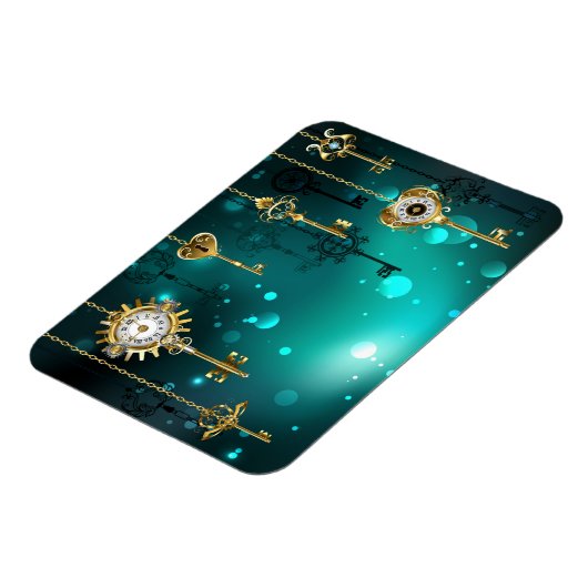 Magnet Flexible Skeleton Keys on Green Background (Côté Gauche)