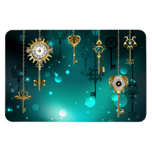 Magnet Flexible Skeleton Keys on Green Background