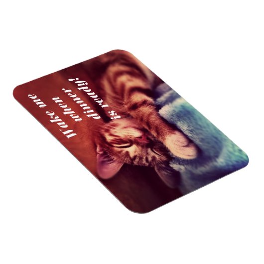 Magnet Flexible Sleepy Kitten Magent (Côté Droit)