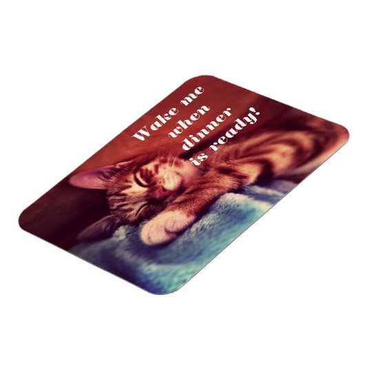 Magnet Flexible Sleepy Kitten Magent (Côté Gauche)