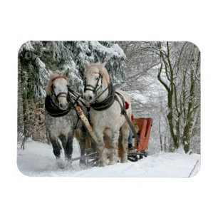 Magnet Flexible Sleigh Ride in Winter Wonderland