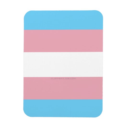 Magnet Flexible SlipperyJoe's transgenre pride drapeau de la diver (Vertical)