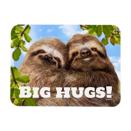 Magnet Flexible Sloth Couple (Horizontal)