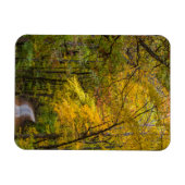 Magnet Flexible Small Gravel Road Lined With Autumn Color (Horizontal)