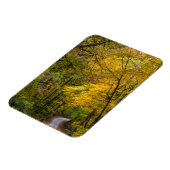 Magnet Flexible Small Gravel Road Lined With Autumn Color (Côté Gauche)