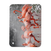 Magnet Flexible Smithsonian | Flamants roses Dans La Neige (Vertical)