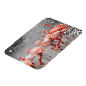 Magnet Flexible Smithsonian | Flamants roses Dans La Neige (Côté Gauche)