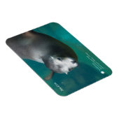 Magnet Flexible Smithsonian | Lion de mer (Côté Droit)