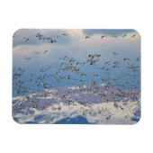 Magnet Flexible Snow geese during (Horizontal)