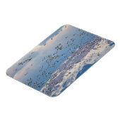 Magnet Flexible Snow geese during (Côté Gauche)