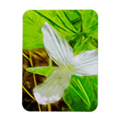 Magnet Flexible Snow Trillium un Fleur sauvage blanc Abstrait (Vertical)
