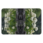 Magnet Flexible Snowball Hydrangea Avec Réflexions (Horizontal)