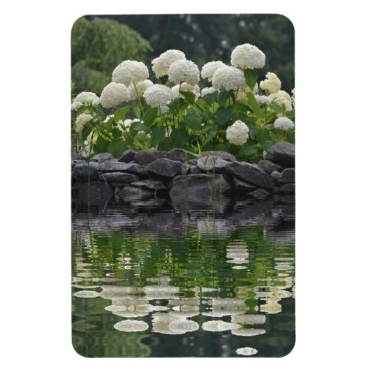 Magnet Flexible Snowball Hydrangea Avec Réflexions (Vertical)