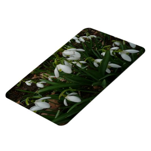 Magnet Flexible Snowdrops I (Côté Gauche)