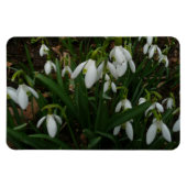 Magnet Flexible Snowdrops I (Horizontal)
