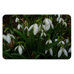 Magnet Flexible Snowdrops I