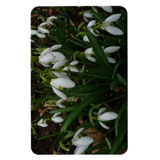 Magnet Flexible Snowdrops I (Vertical)