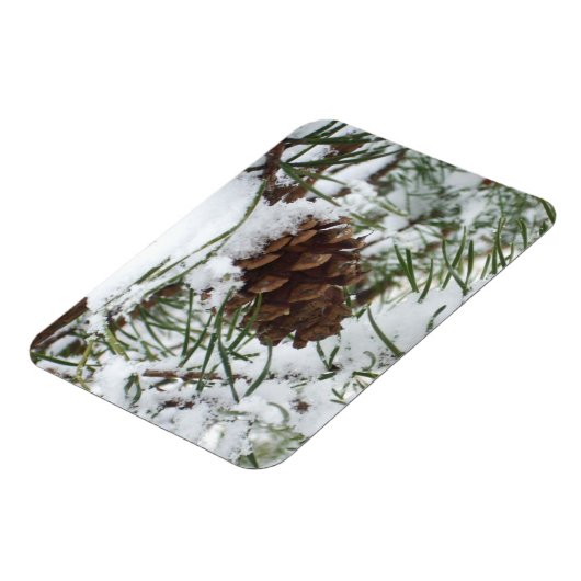 Magnet Flexible Snowy Pine Cone I (Côté Gauche)
