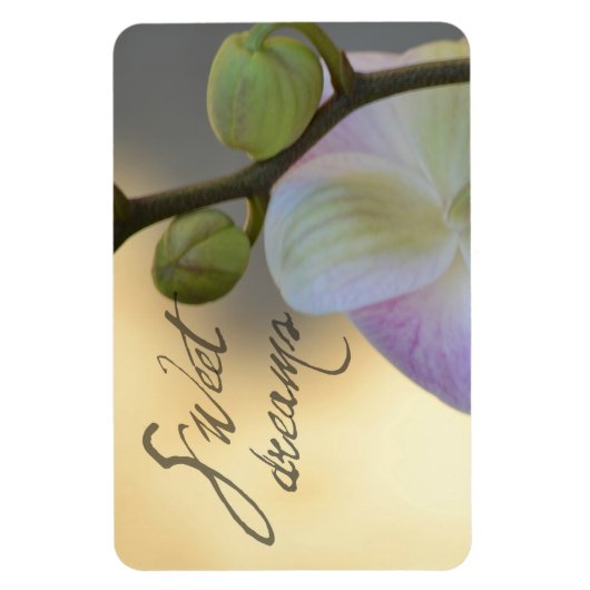 Magnet Flexible Sogni D'oro (doux rêves) Orchidée (Vertical)
