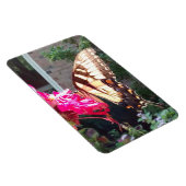 Magnet Flexible Soleil brillant à travers le tigre Swallowtail Mag (Côté Droit)