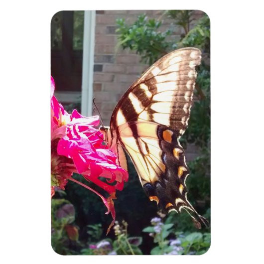Magnet Flexible Soleil brillant à travers le tigre Swallowtail Mag (Vertical)