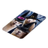 Magnet Flexible Sorcières d'Alpaca (Côté Gauche)