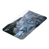 Magnet Flexible Sortie Glacier Toe, Kenai Fjords National Park, AK (Côté Gauche)