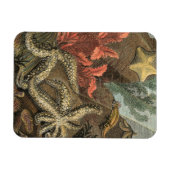 Magnet Flexible Sous la mer (Horizontal)