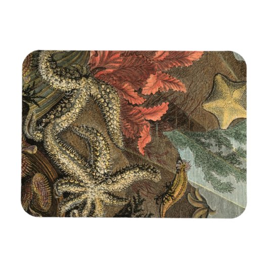 Magnet Flexible Sous la mer (Horizontal)