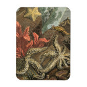 Magnet Flexible Sous la mer (Vertical)