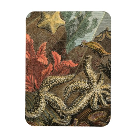 Magnet Flexible Sous la mer (Vertical)