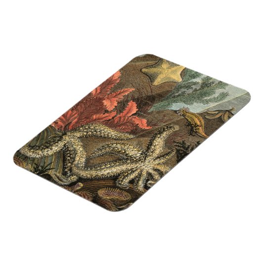 Magnet Flexible Sous la mer (Côté Gauche)