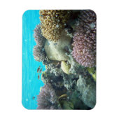 Magnet Flexible Sous L'Eau, Coral Reef, (Vertical)
