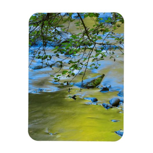 Magnet Flexible South Fork Wilson River, Oregon (Vertical)