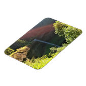 Magnet Flexible South Silver Falls, Oregon (Côté Gauche)