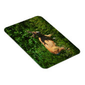 Magnet Flexible Soyez sur votre chemin (Côté Droit)