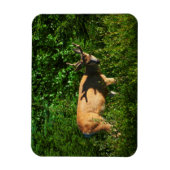 Magnet Flexible Soyez sur votre chemin (Vertical)