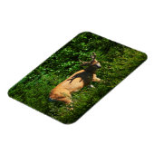 Magnet Flexible Soyez sur votre chemin (Côté Gauche)